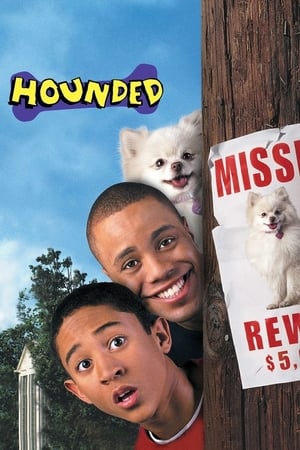 Hounded 2001 Dual Audio | Dubbed Hindi Movie BluRay 310MB